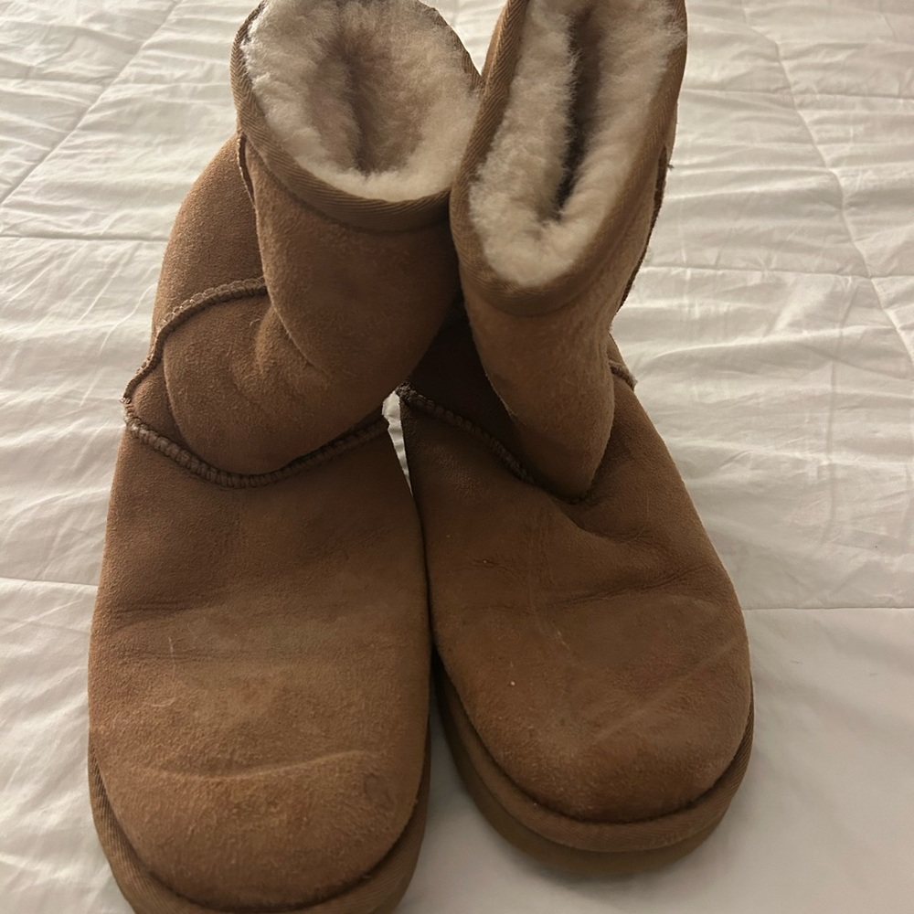 Classic Chestnut Brown Uggs